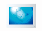 8�C���`�t�����@�\�f�W�^���t�H�g�t���[�� EN-SLIM800 �z���C�g