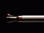TUNAMI NIGO(30m)  �y����������萔������!�z