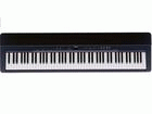P-140 (�u���b�N/�_�[�N�I�[�N��) �y����������萔�������̈��S���i�z