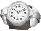 �y�o�g���p���[ R02�z4RAA02-008