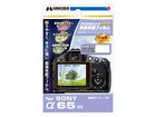 DGF-SA65�@ SONY ��65 ��p
