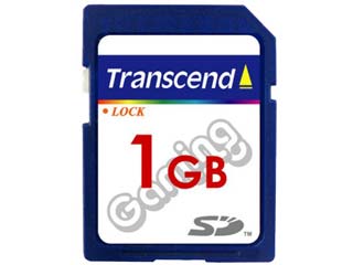 TS1GSDG (1GB)