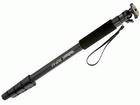 RUP-43