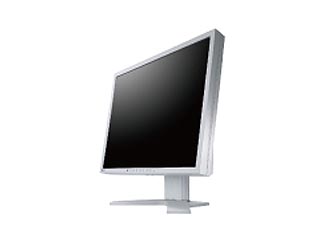 FDS1901-GY DuraVision 19.0�^�J���[�t�����j�^�[ �Z���[���O���C