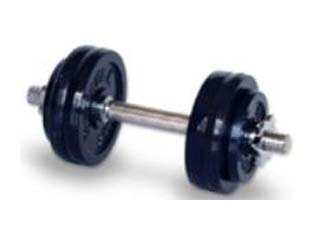 STW057 �_���x�� 15kg (�u���[)