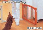 �y�y�b�g�Q�[�g�zWPG-500NS�^���C�g�u���E��
