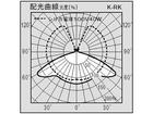 K-RK110V30W �{�ɗp�d��