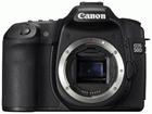 EOS 50D�@���{�f�B�̂݁@�y����������萔�������I�z