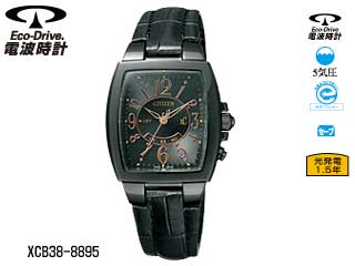 �yXc/�N���X�V�[�zXCB38-8895 �y����������萔�������̈��S���i�z