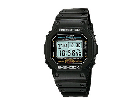 DW-5600E-1