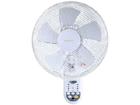 DKF-A349  30cm�Ǌ|����@(�t�������R��)