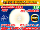 �y5�����I�z�y5/30���ח\�蕪�I�z�k�d�c�V�[�����O���C�g CL8DL-CSL1�yLEDtokka�z