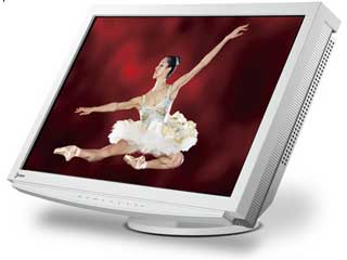 FlexScan 24.1�^�J���[�t�����j�^(�z���C�g�V���o�[)