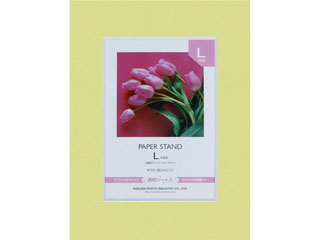 【クリックでお店のこの商品のページへ】HAKUBA/ハクバ ペーパースタンド/Lサイズ/モエギ