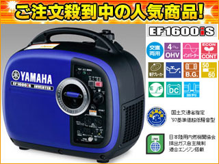 EF1600iS �h���^�C���o�[�^�[���d�@�@1.6kVA�y50/60Hz�z����12V-8A