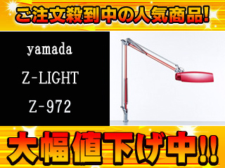 �y�����l�������I�zZ���C�g Z-972RM(���b�h���^���b�N)