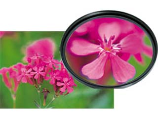 【クリックで詳細表示】HAKUBA/ハクバ CF-CU172 フィルタークローズアップNo.1 (72mm)