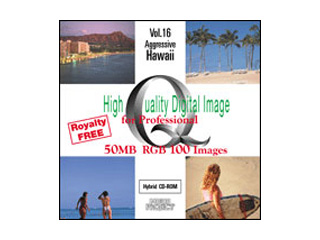 【クリックで詳細表示】イメージギャップ High Quality Digital Image for Pro アグレッシブハワイ