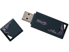 �t�F���`�^ �������� USB�������[ �u���b�N�J���[ 2GB