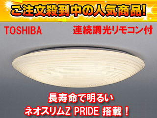 �����R���t�V�[�����O���C�g FVH98306RPEL�i�d���F�j �y���œ����z