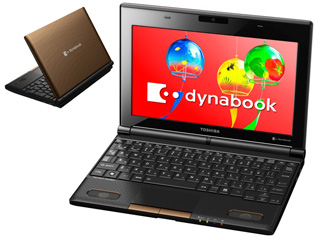 PN30002CNVC 10.1型ネットブック dynabook N300/02CC カカオブラウン