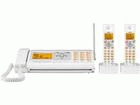 SFX-DW500(W)�O���C�X�z���C�g ���ʎ��t�@�N���~�� �y����������萔�������̈��S���i�z