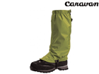 351902 �R�k �u�����X�p�b�c�~�h�� (�I���[�u)