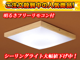 【クリックで詳細表示】Panasonic/パナソニック HHFZ4236 (明るさフリーリモコン付き) 【送料無料】