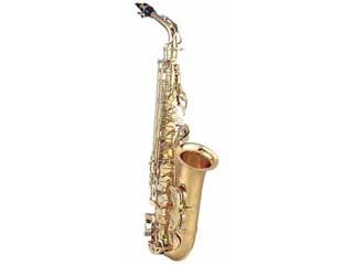 【クリックで詳細表示】Maxtone SX-50A 【送料代引き手数料無料の安心価格】