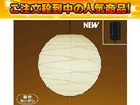 ��2�ʂ́A�j�n�h�y�t�l�h BPE6670   �ł��B