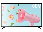 1ʂ́AORION II OL50WD300   łB