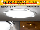�y5�����I�zLED�X�|�b�g���C�g�t�V�[�����O���C�g SH8024ESR�i�����F�j ODSLED
