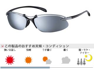 【クリックで詳細表示】SWANS/スワンズ SA-505 マットチタンシルバー/マットブラック