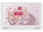 10.2�C���`���C�hSD�v���[���[ CD-102I