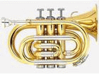 HTR-37P/GD �y����������萔�������̈��S���i�z