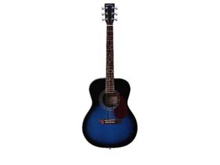 �y�݌Ɍ���I�l�������I�z F190-BLS(Blue Sunburst)