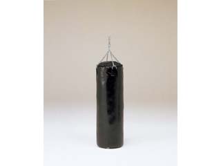 H7290 �@�T���h�o�b�O �R�T