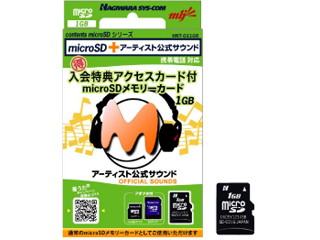 アーティスト公式サウンド入会特典アクセスカード付 microSDメモリーカード HNT-OS1GR