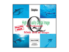 HIGH QUALITY VOL.33 �C���J