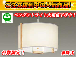DX-85816 �y���_���g �y����������萔�������̈��S���i�z