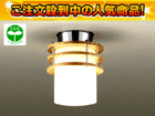 �y�ň��l�ɒ��풆�I�z�d���`�u�����V�[�����O���C�g DX-85839