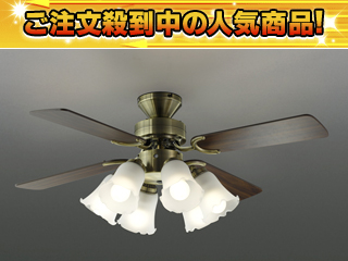 �����R���t�V�[�����O�t�@�� BAN0505FR�y��������z