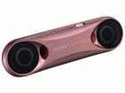 SRS-T33-P�i�s���N�j