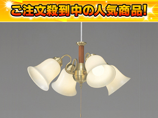 �y�啝�l�������I�zBFC-4901Z �y����������萔�������z�y���œ����z