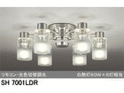 4ʂ́AODELIC/I[fbN SH7001LDR   łB