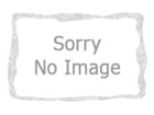 ��1�ʂ́AKUSTOM/�J�X�^�� AF208520 GRN 27 �ł��B
