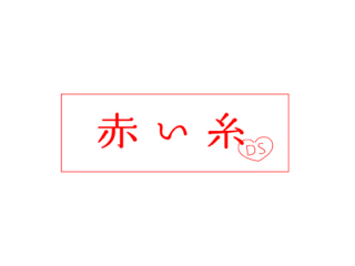 赤い糸 DS