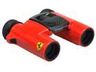 FERRARI VISIO�@�t�F���[���r�W�I�o�ዾ�@�y����������萔�������I�z
