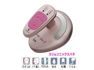 HDS-21 �X�����\�j�b�N�X�p II �y����������萔�������̈��S���i�z
