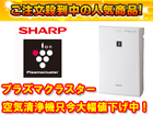 ��2�ʂ́A�r�g�`�q�o/�V���[�v FUY43CX W  �ł��B